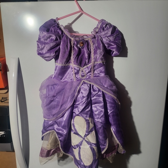 Disney Store Authentic Sofia The First Girls Size 2 Costume - Picture 2 of 7